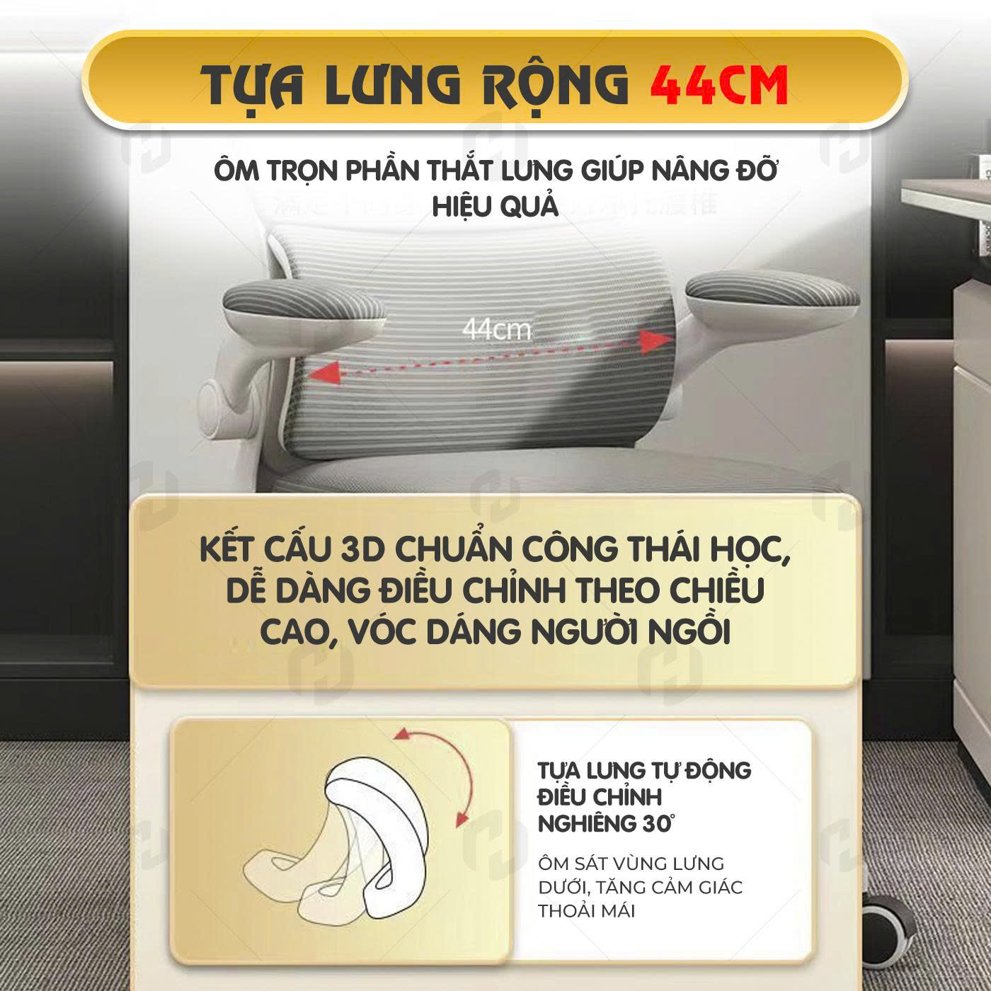 ghế công thái học s1