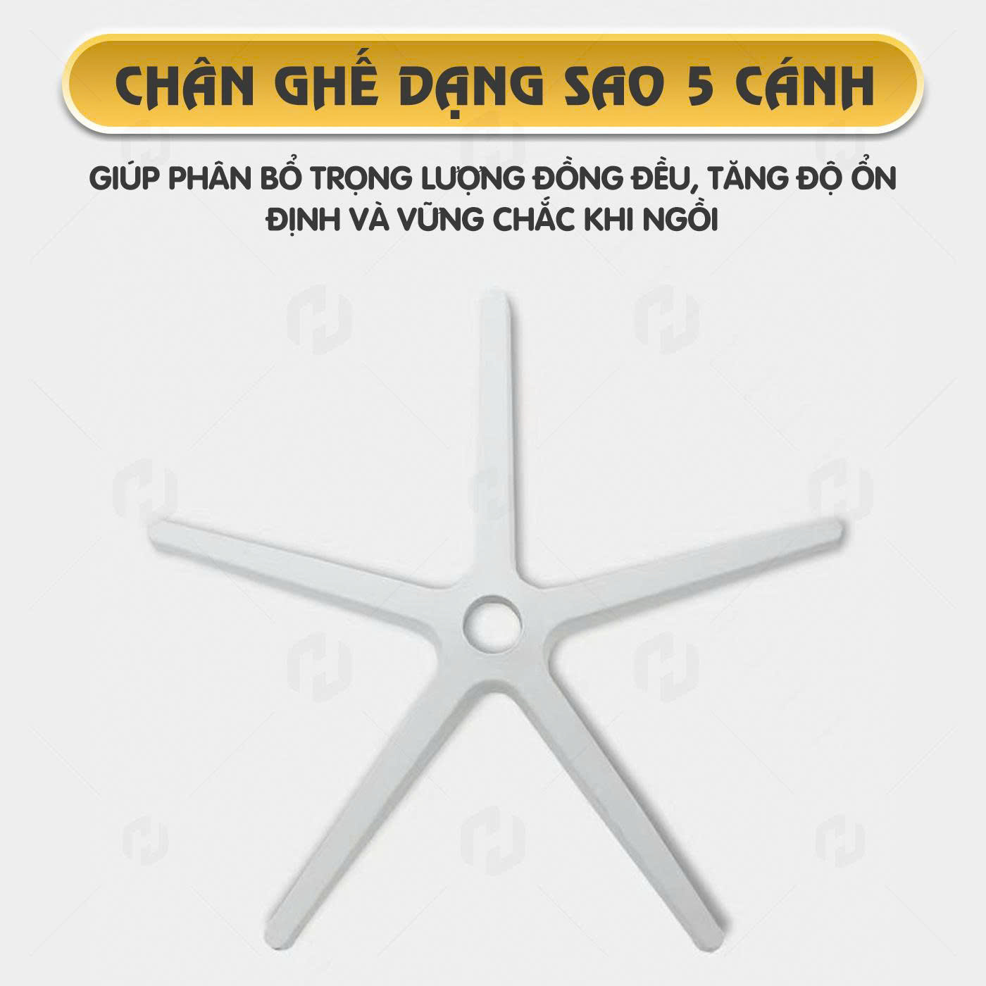 ghế công thái học s1
