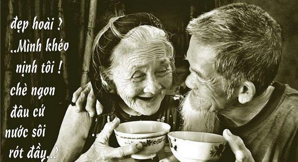 TRÀ CHO TUỔI GIÀ THÊM SỨC KHỎE 3 tra cho tuoi gia them suc khoe 1