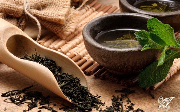 TRÀ CHO TUỔI GIÀ THÊM SỨC KHỎE 4 tra cho tuoi gia them suc khoe 2