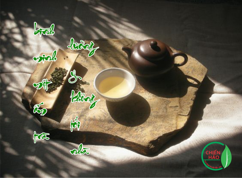 Kinh nghiệm chọn mua trà shan tuyết ngon. 7 uong tra sang som
