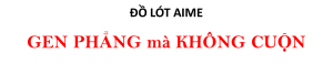 AIME VIỆT NAM