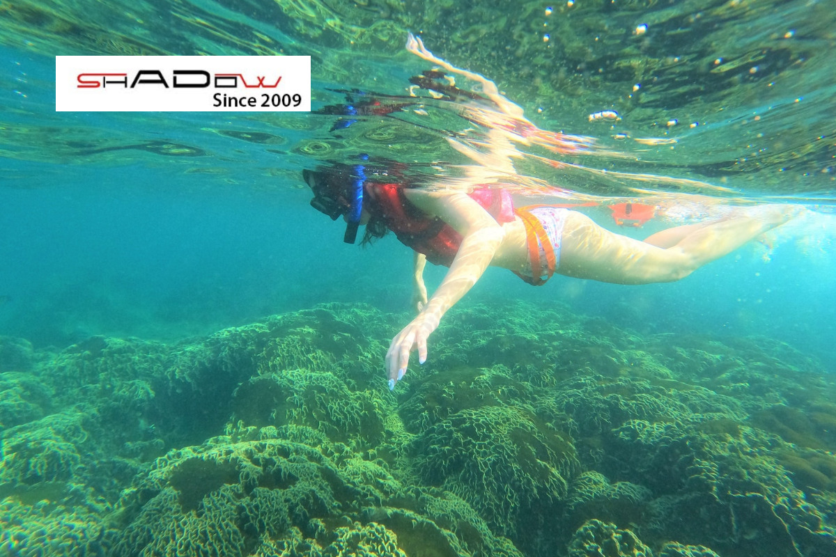 Thời tiết đi lặn