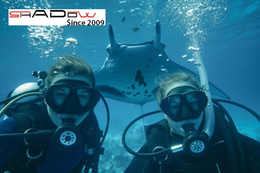 Bảo vệ môi trường