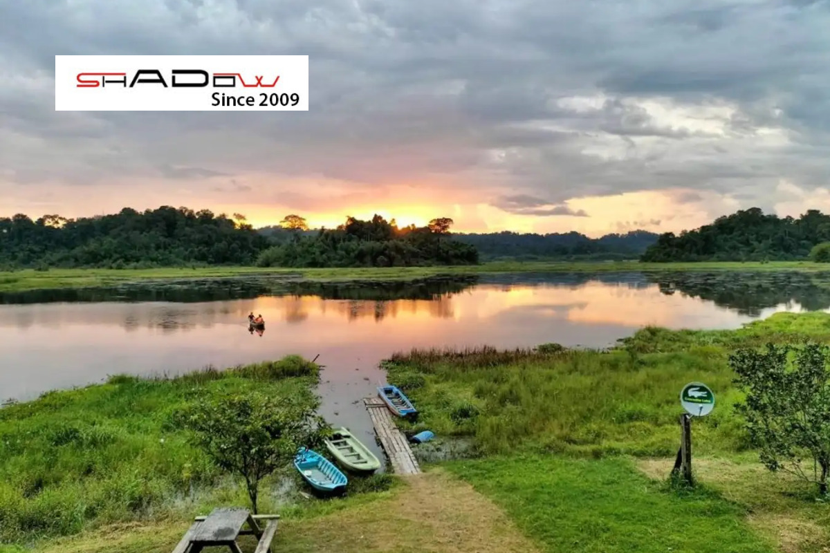 không khí trong lành từ núi rừng