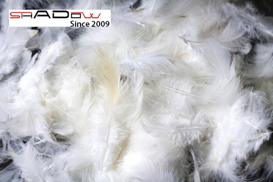 Chất Liệu Ruột Túi Ngủ