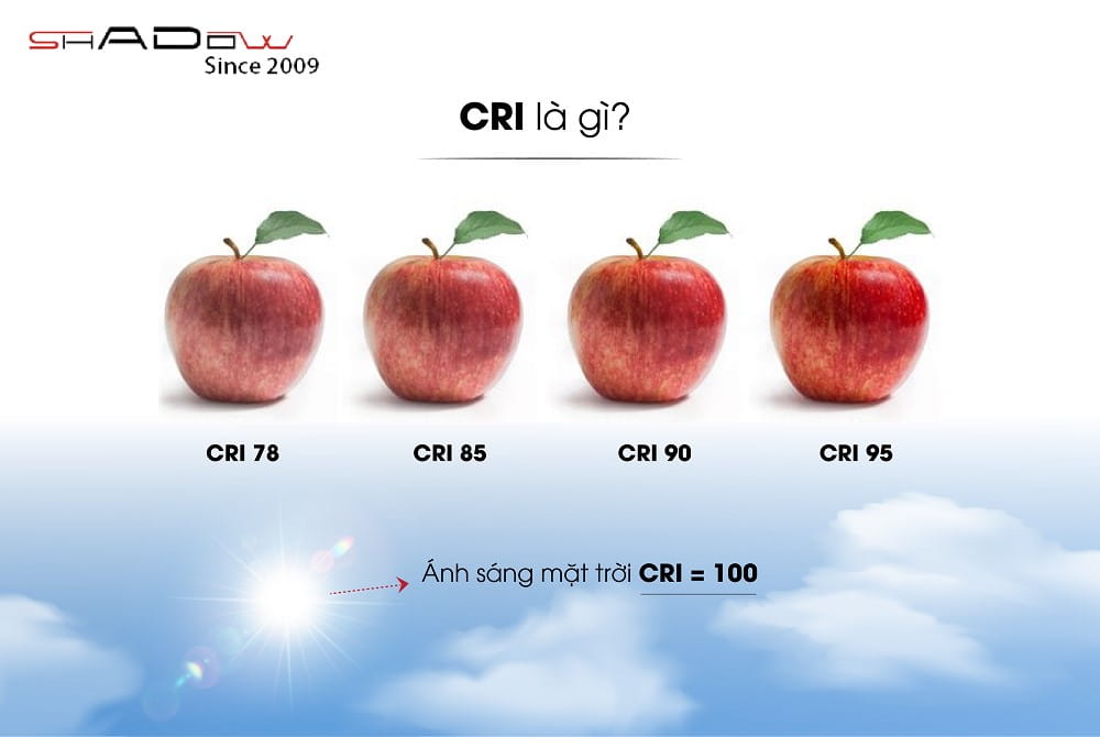 Chỉ số hoàn màu cri là gì