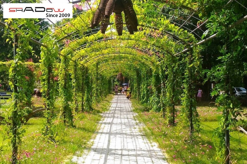 Công viên mùa hạ Ecopark