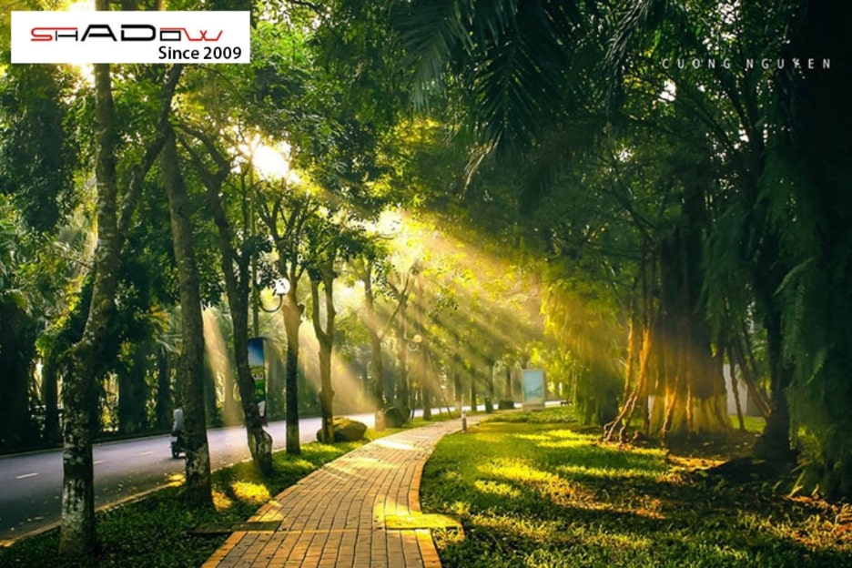 Công viên mùa thu Ecopark