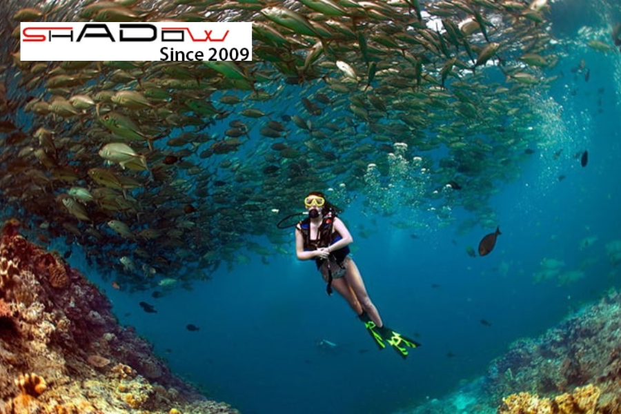 Đảo Sipadan (Malaysia)