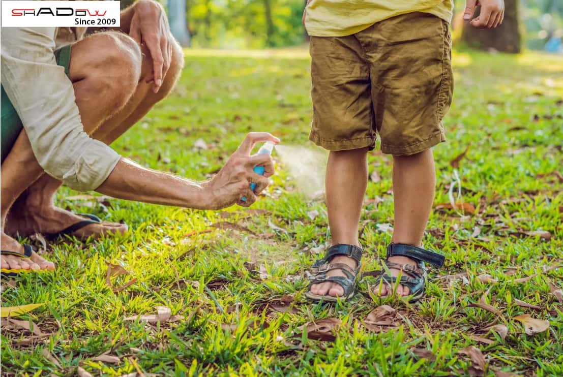 đi cắm trại nên trang bị theo thuốc xịt muỗi cắn