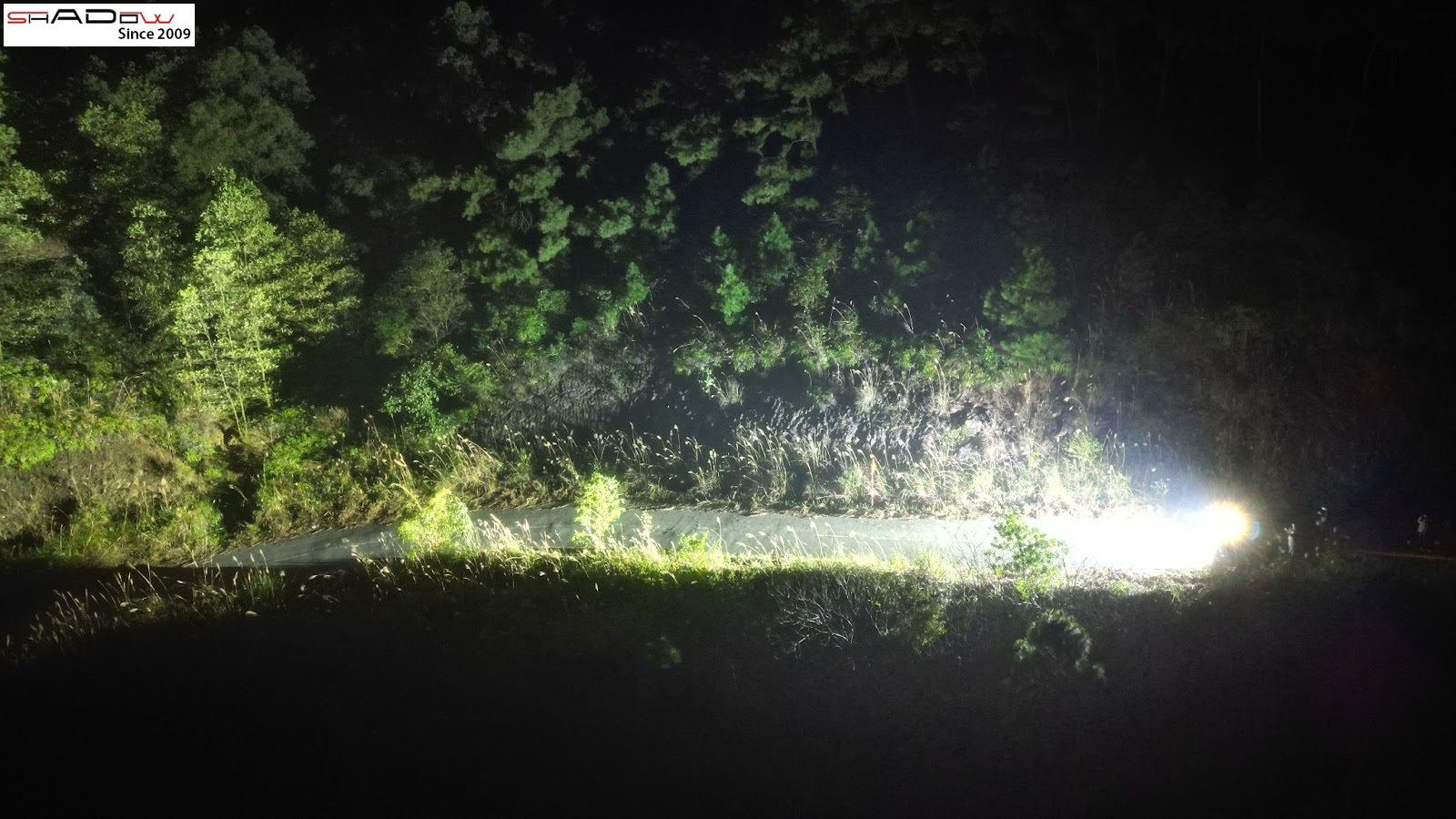 Ánh sáng của IMALENT MS32 khi đi đường rừng