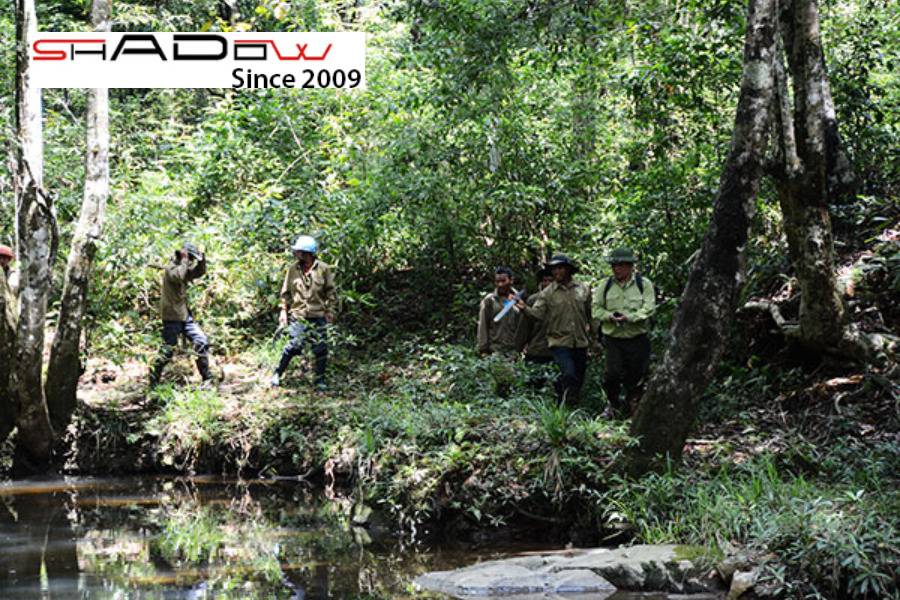 Trekking trong rừng nguyên sinh Langbiang