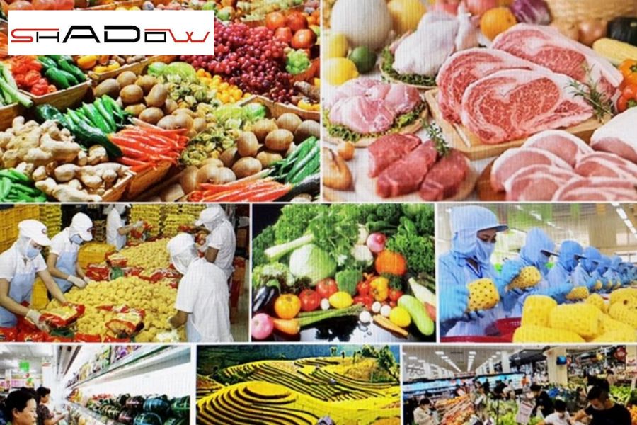 Dự trữ lương thực và nước uống khi bão về