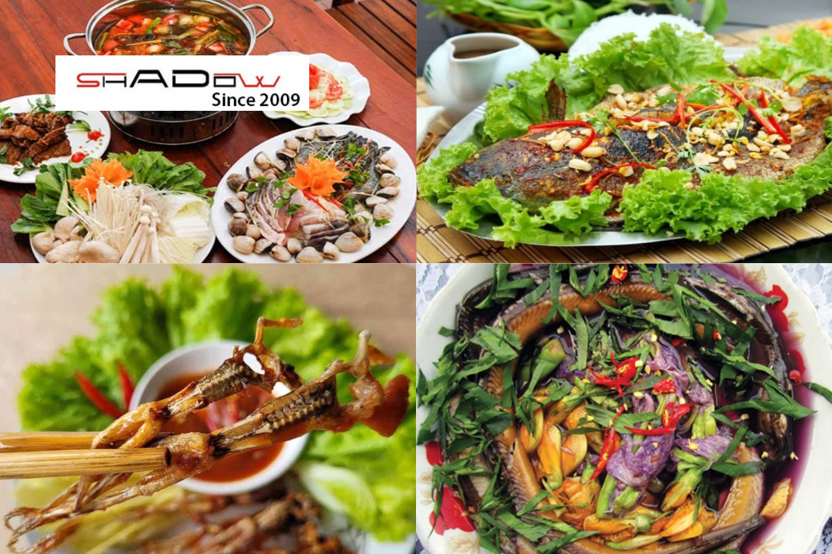 Món ăn địa phương