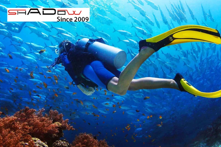 Phú Quốc (Việt Nam)