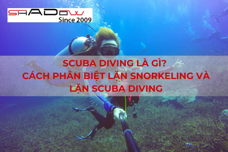 Cách phân biệt lặn Snorkeling và lặn Scuba Diving