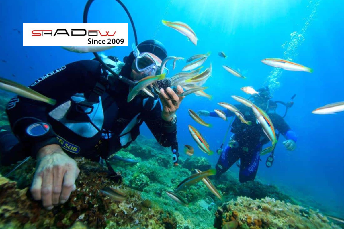 Sức khỏe khi đi lặn