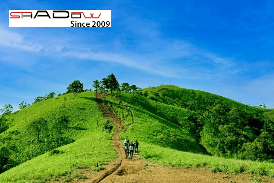 Mùa Đông - Xuân là mùa đẹp nhất để trekking Tà Năng, khi những đồi cỏ xanh mướt trải dài như một tấm thảm nhung.