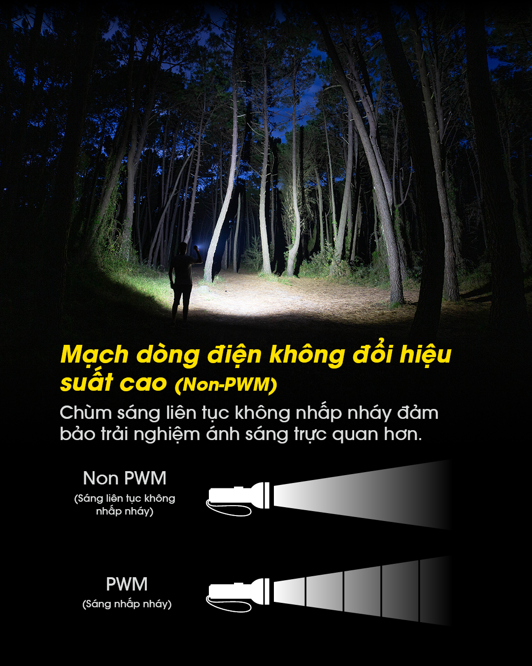 Chùm sáng liên tục không nhấp nháy đảm bảo ánh sáng trực quan hơn