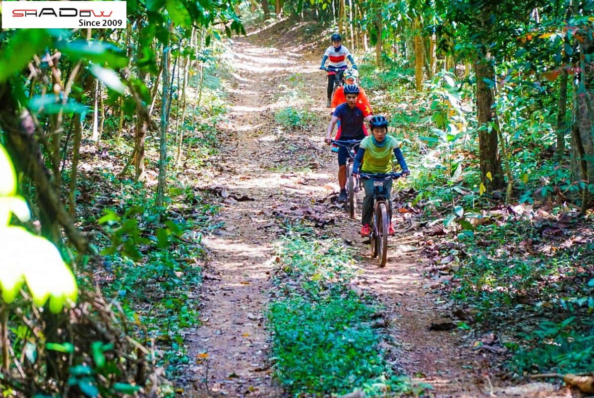 Trải nghiệm rừng Đà Mã bên hồ trị an