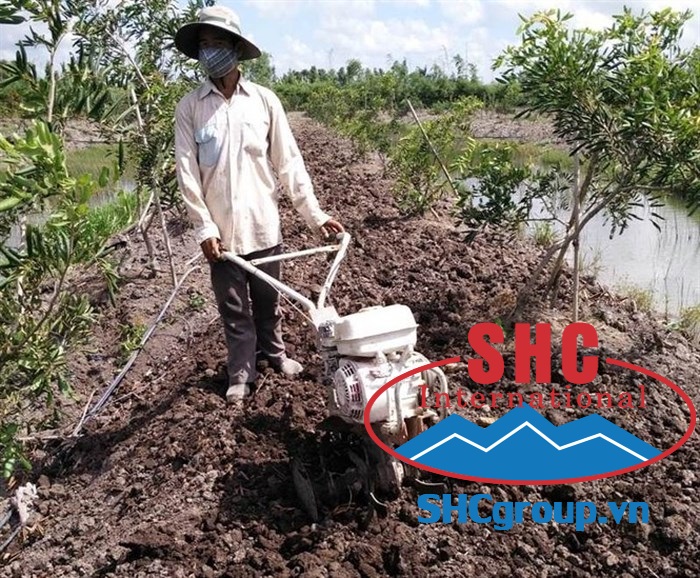 Xới đất bằng máy chuyên dụng