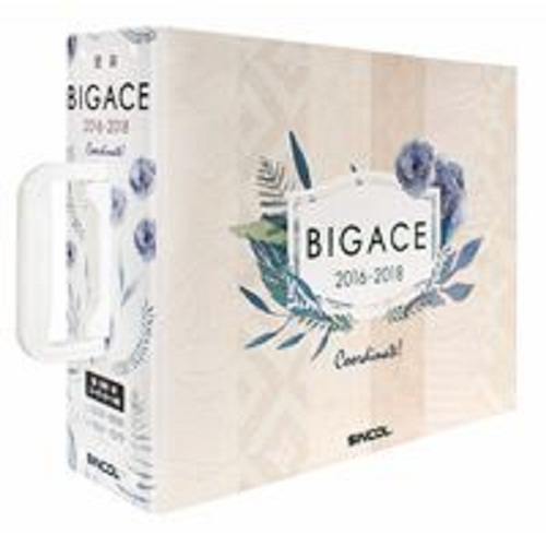 Bigace - giấy dán tường nhật bản - Sincol