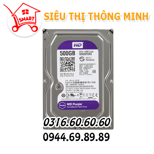 Ổ cứng WD 500GB