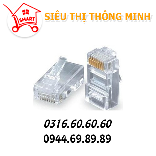 Hạt mạng, Đầu bấm RJ45 Cat5 AMP chính hãng