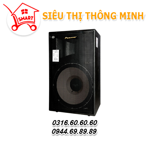 Loa sân khấu PS 918K chính hãng Peenner giá tốt nhất Hải Phòng