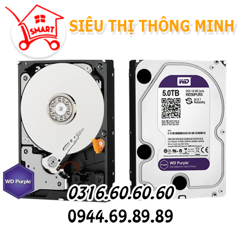 Ổ cứng WD 5.0TB