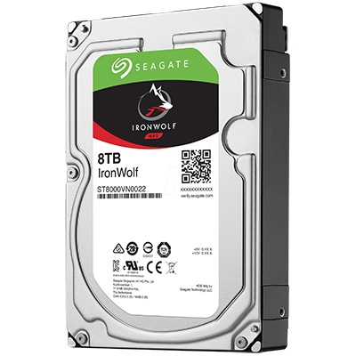 Seagate IronWolf 8TB Nas, Sever