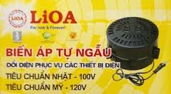 biến áp đổi nguồn lioa 1 pha-lioavn.net