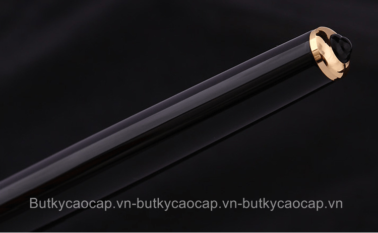 Đuôi bút Picasso 908