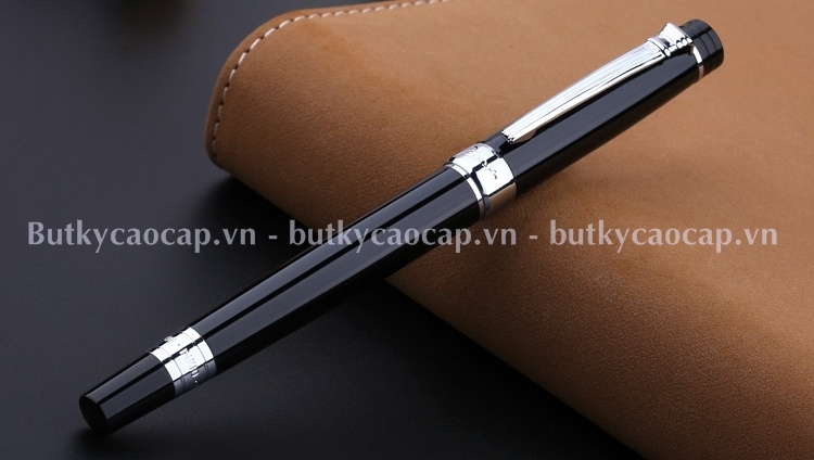 Bút dạ bi cao cấp Picasso PS-917(RBK)