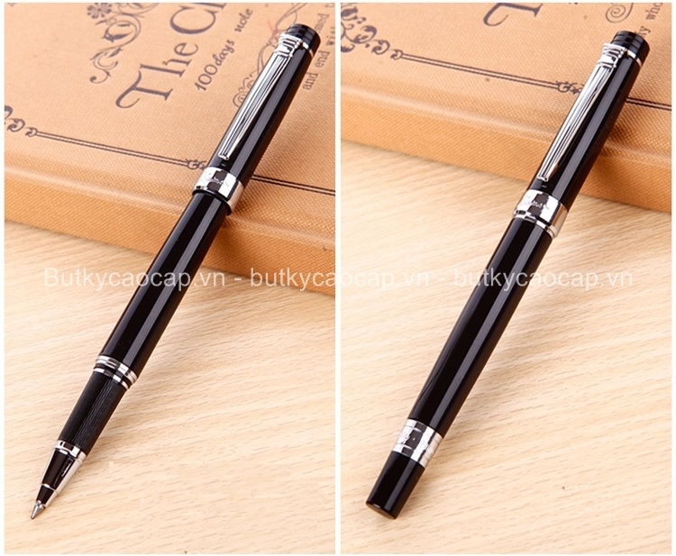 Bút dạ bi cao cấp Picasso PS-917(RBK)