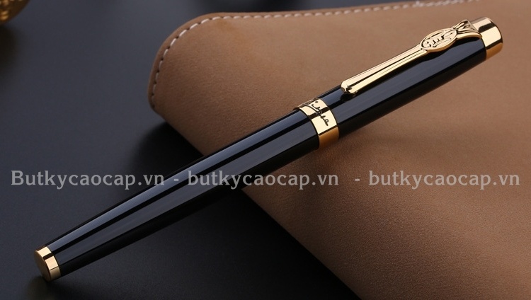 Bút cao cấp Picasso PS-933(FBK)