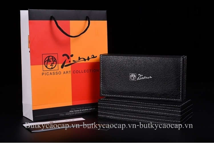 Hộp đựng bút cao cấp Picasso PS-917