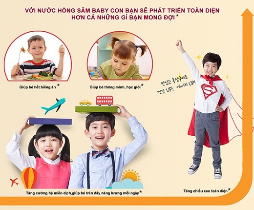 Hồng sâm baby có tác dụng gì