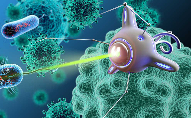 Hồng sâm Hàn Quốc có các tác dụng gì