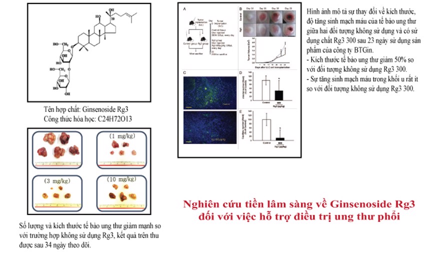 hồng sâm rg3 hỗ trợ điều trị ung thư