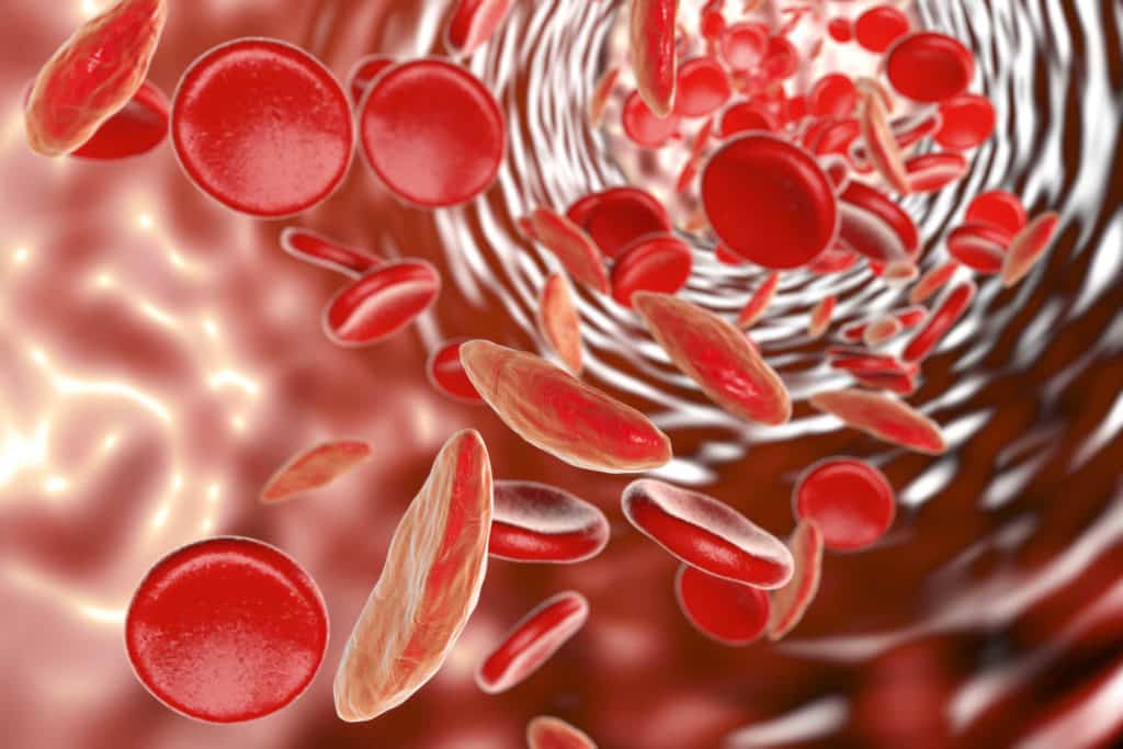 hồng sâm rg3 tăng cường khả năng tuần hoàn máu