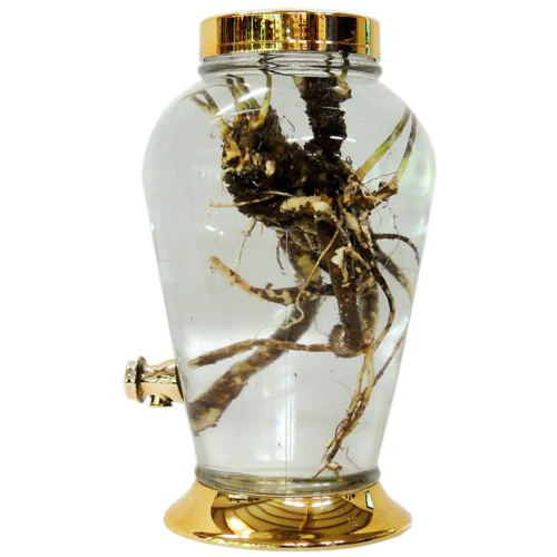 bình thủy tinh ngâm rượu N80– 8.5 Lít