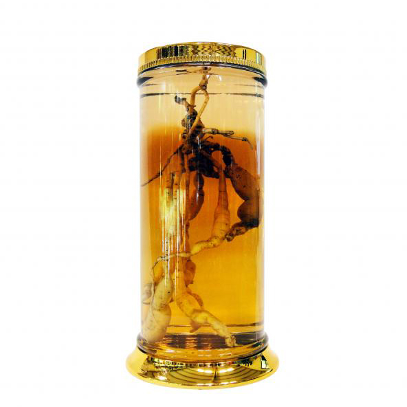 Bình ngâm rượu N1-73 Lít