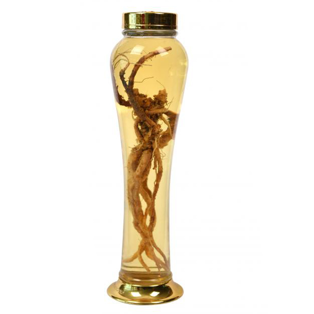 Bình thủy tinh ngâm rượu hàn quốc 3 lít