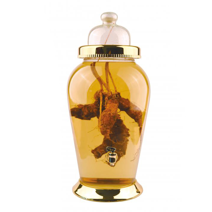 Bình thủy tinh ngâm rượu hàn quốc 11 lít