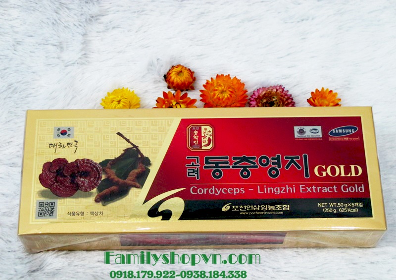 Cao linh chi đông trùng Pocheon