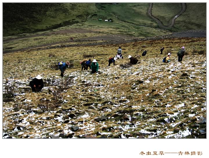 Dong trung ha thao Dong trung ha thao