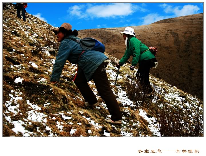 Dong trung ha thao Dong trung ha thao