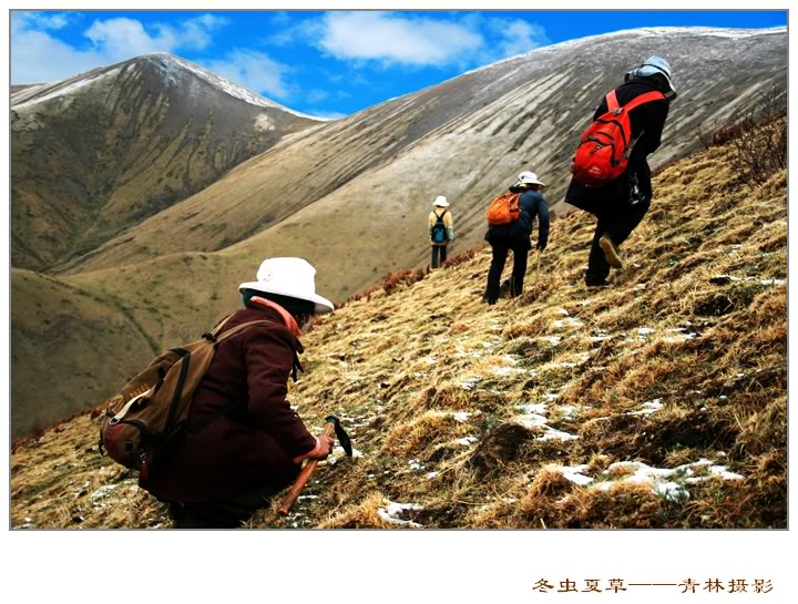 Dong trung ha thao Dong trung ha thao